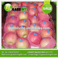 fresh red delicious apple from China